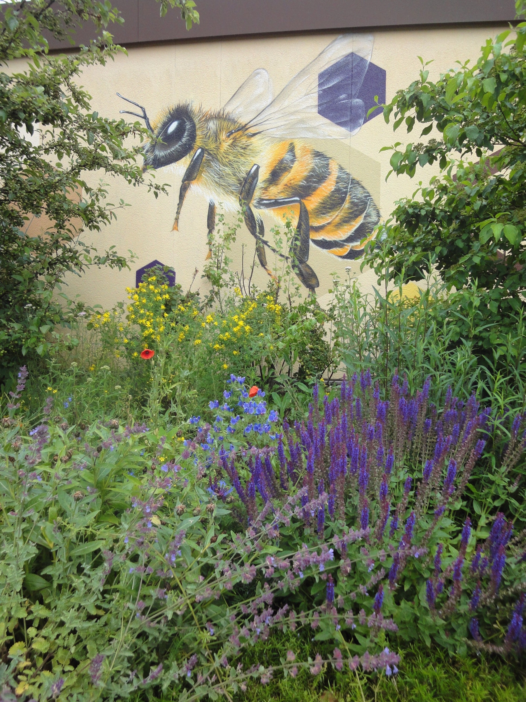               Biene Bienenmuseum                 